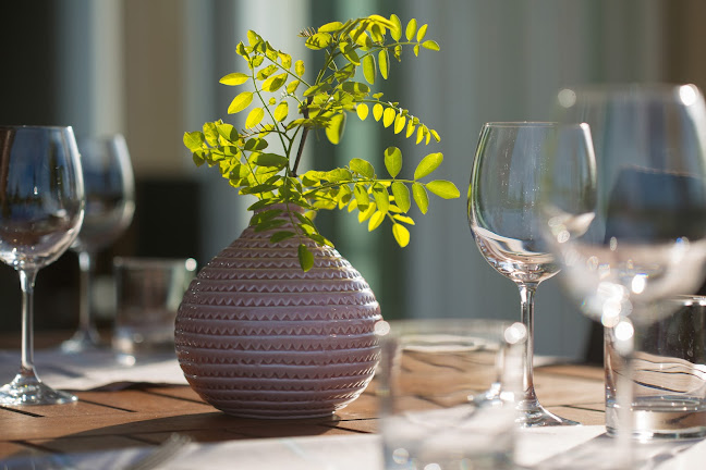 Restaurant Čiže - Gastronomija i ugostiteljstvo