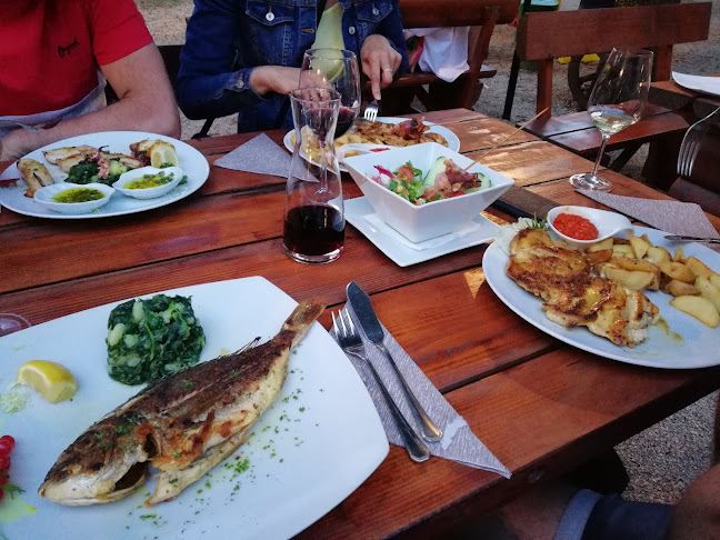 Montraker bb, 52450, Vrsar