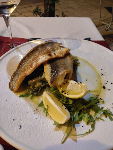 Comentarii opinii despre Dujkin dvor