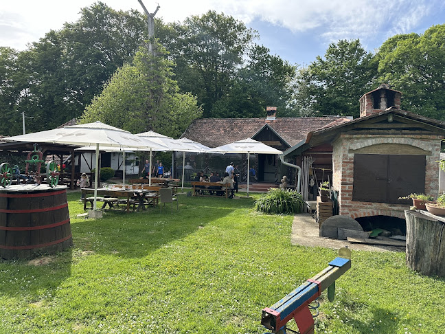 Gornje Vine 142, 48260, Križevci