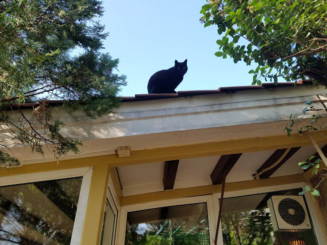 Viva Caffe Do Brasil - Gastronomija i ugostiteljstvo