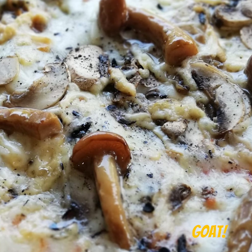 Papova ul. 6, 10000, Zagreb