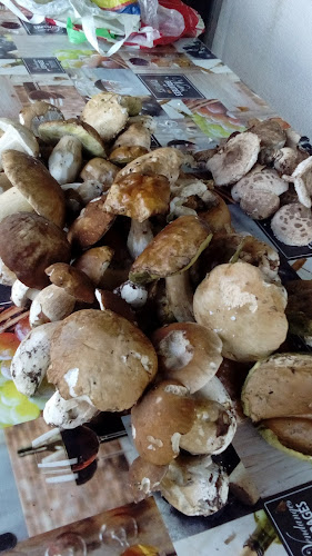 Opinii despre Caffe Amadeus în Sveti Ivan Zelina - Gastronomija i ugostiteljstvo