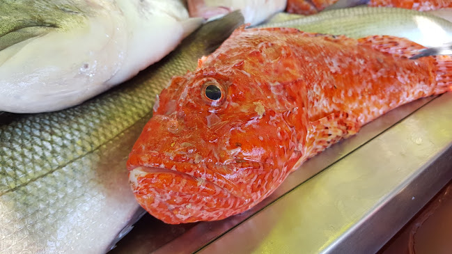 Ostaria Veranda - Gastronomija i ugostiteljstvo