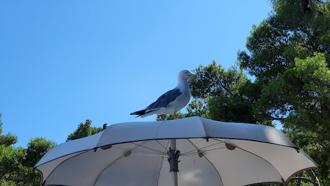Sweet Corner Bogart - Gastronomija i ugostiteljstvo