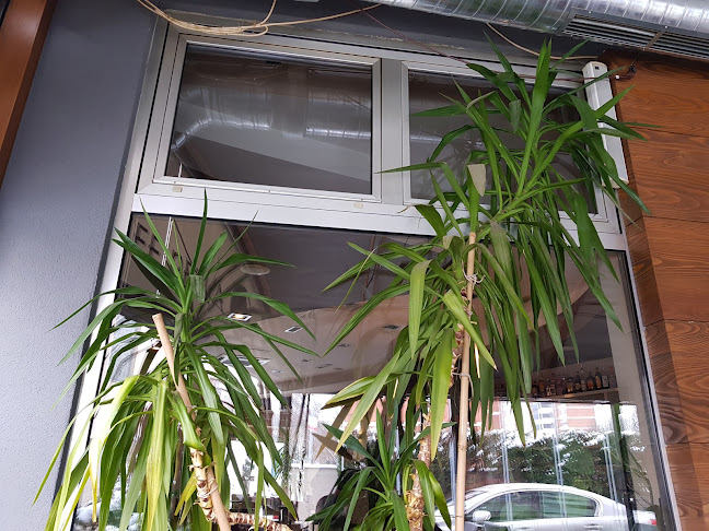 Comentarii opinii despre Perla