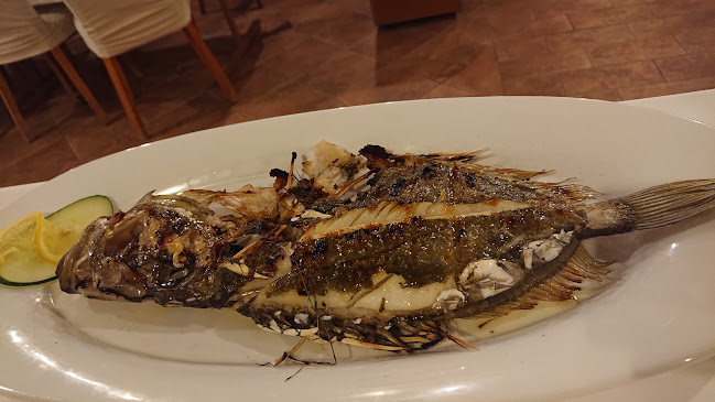 Comentarii opinii despre Zlatna ribica