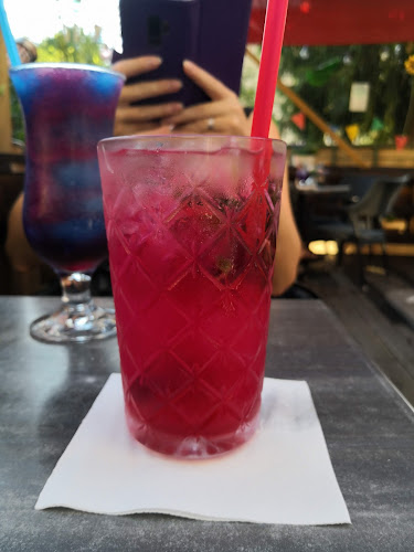 Cat Caffe Zagreb - Gastronomija i ugostiteljstvo