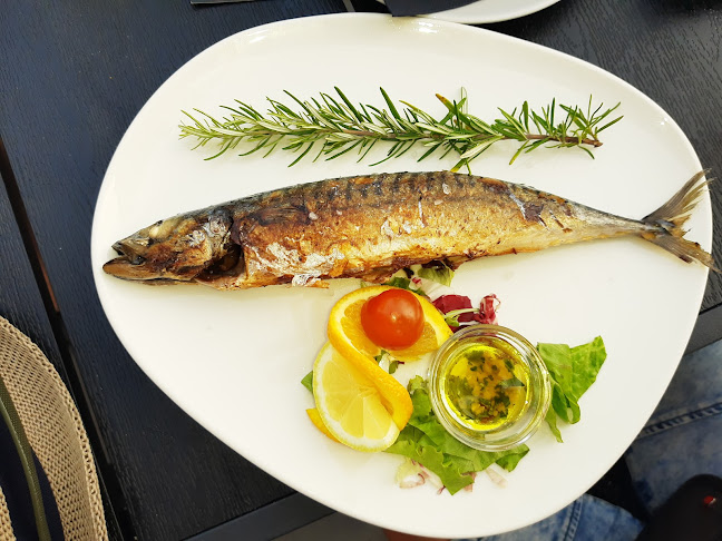 Reflektor - Murter - Gastronomija i ugostiteljstvo