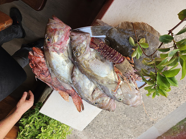 Pupnat 57, 20274, Pupnat