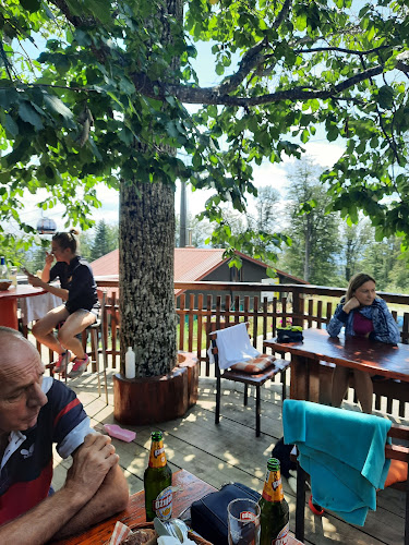 Comentarii opinii despre Restoran Zlatni Medvjed