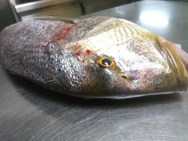 Kod Barba Luke - Gastronomija i ugostiteljstvo