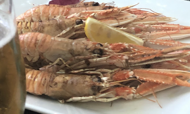 Antika Zaton - Gastronomija i ugostiteljstvo