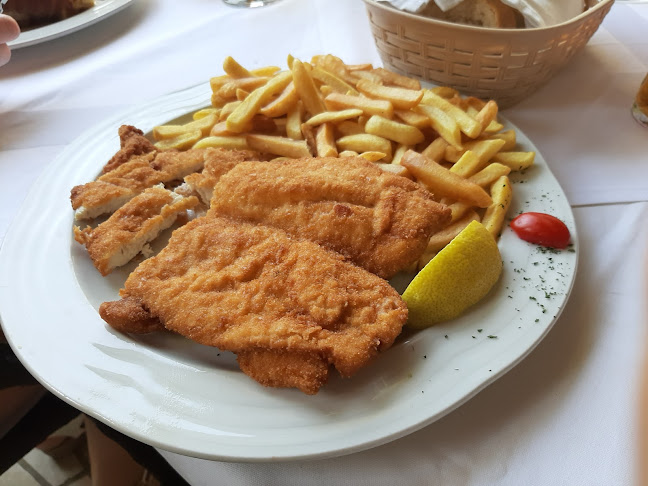 Opinii despre Antika Restaurant în Novi Vinodolski - Gastronomija i ugostiteljstvo