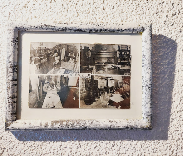 Comentarii opinii despre Susvid