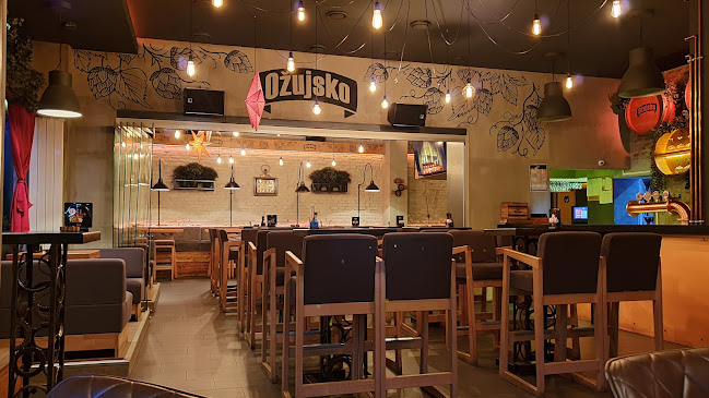 Opinii despre Oka Bar&Pub în Bjelovar - Gastronomija i ugostiteljstvo