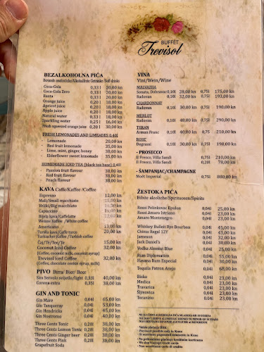 Comentarii opinii despre Trevisol