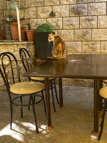 Pizzeria Rode - Gastronomija i ugostiteljstvo