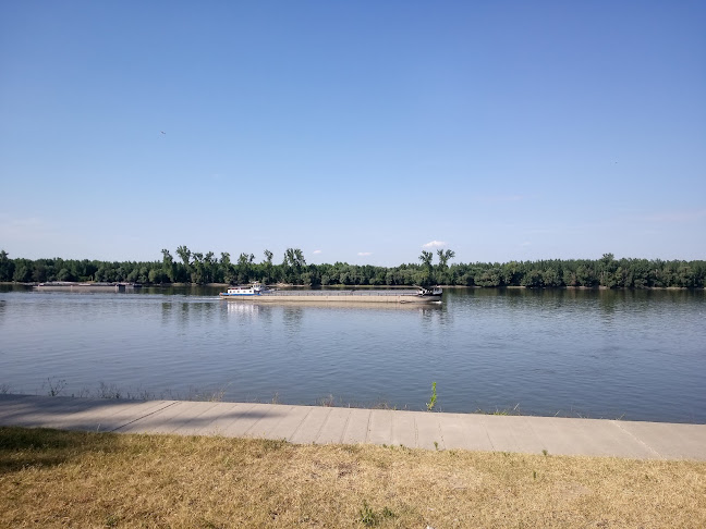 Comentarii opinii despre Restoran Mornar