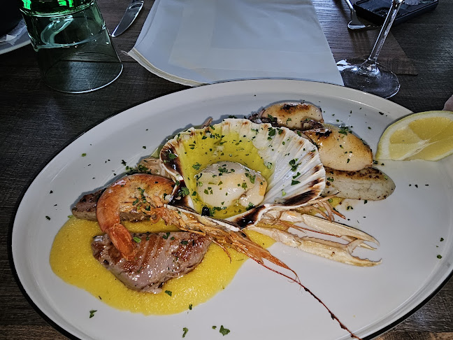 a Modo Mio Vabriga - Tar