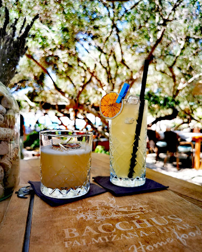 Comentarii opinii despre Bacchus