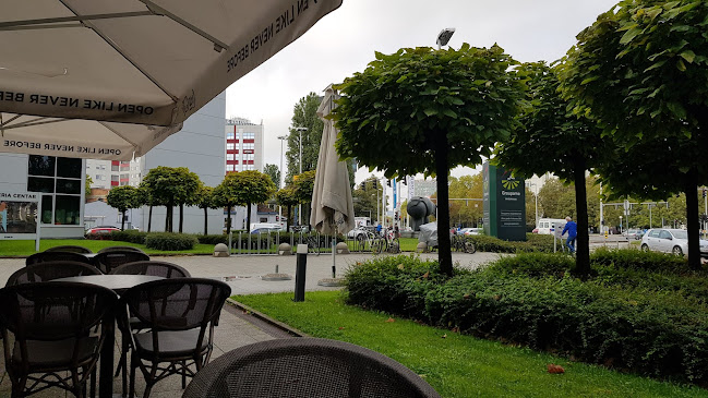 Comentarii opinii despre Ally McBee