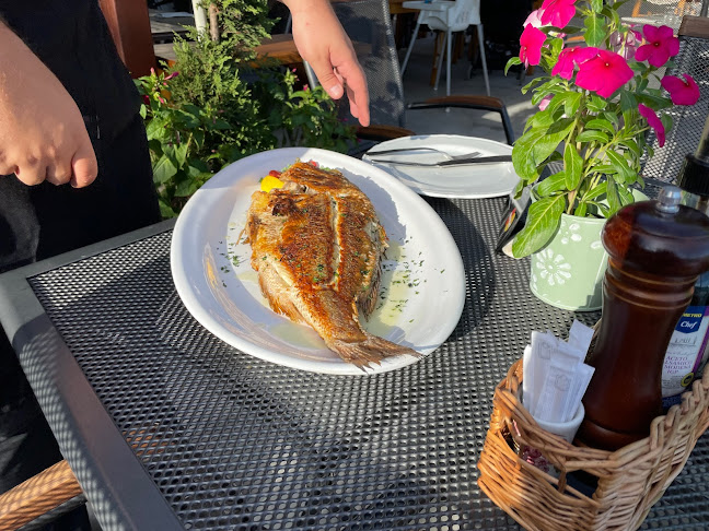 Comentarii opinii despre Konoba Nando