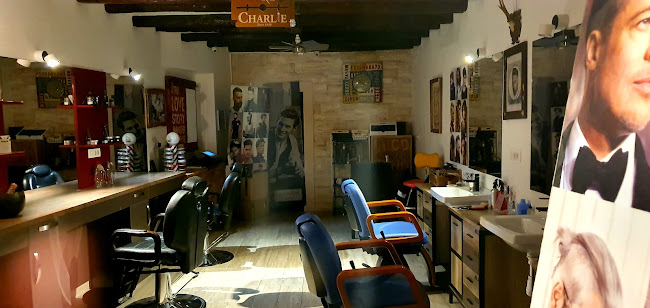 Ul. Kraljskog Dalmatina 7, 23000, Zadar