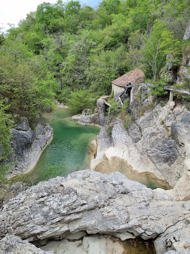 Comentarii opinii despre Kotlić