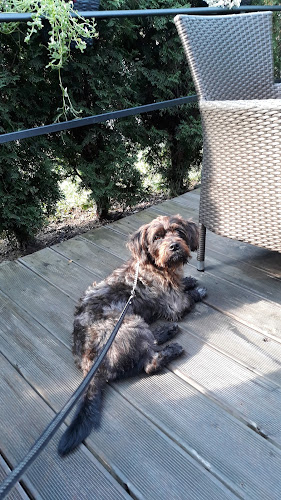 ALcaffe - Gastronomija i ugostiteljstvo