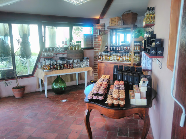 Comentarii opinii despre Shark restaurant and bar