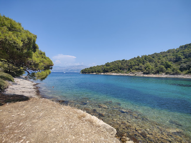 Beach bar Trstena - Gastronomija i ugostiteljstvo
