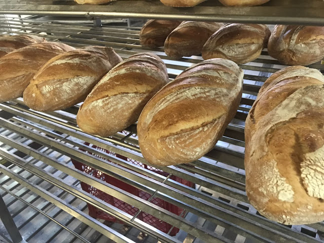 Opinii despre Pekara CroPek în Slavonski Brod - Gastronomija i ugostiteljstvo