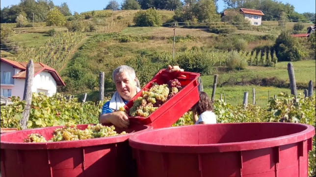Opinii despre Pečenjarnica Tena în Jastrebarsko - Gastronomija i ugostiteljstvo