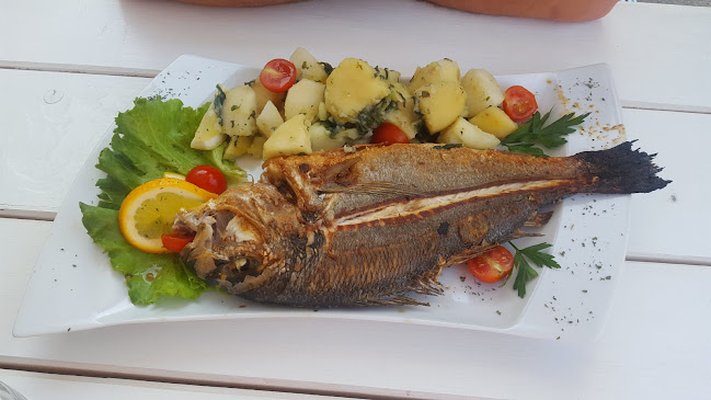 Gatto Blu novigrad - Novigrad