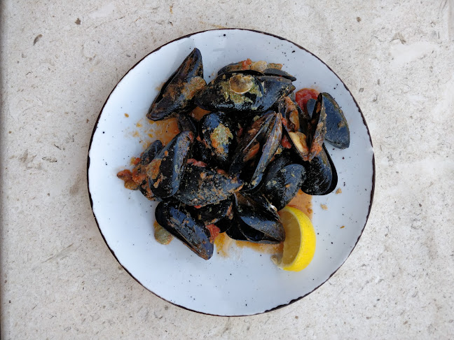 Broce 11, 20230, Broce