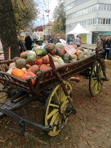 Moslavačka ul. 12, 10310, Ivanić-Grad