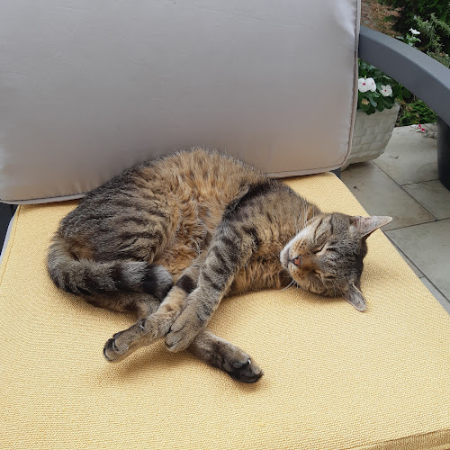 Dravska ul. 2, 42000, Varaždin