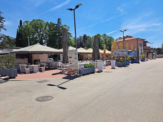 Comentarii opinii despre The Boat