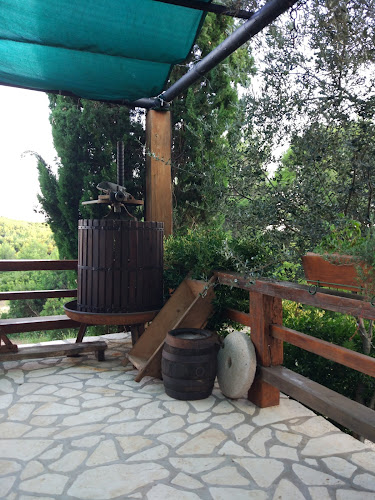 Comentarii opinii despre Konopica