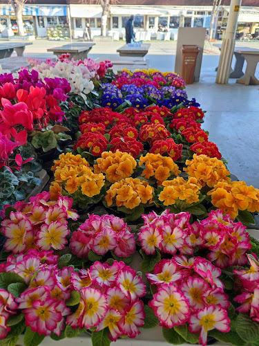 Opinii despre Gradska Tržnica în Slavonski Brod - Gastronomija i ugostiteljstvo