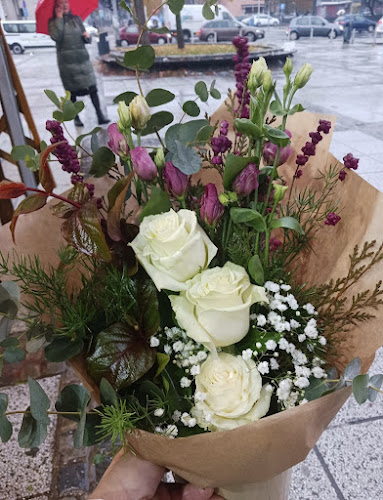 Opinii despre Cvjećarnica Tuberoza în Zagreb - Gastronomija i ugostiteljstvo