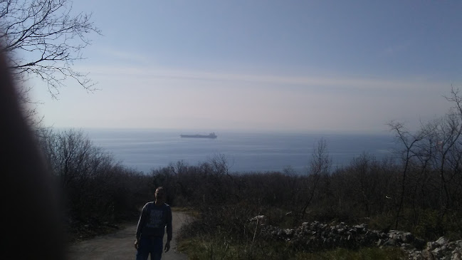 Comentarii opinii despre Kamp Caffe Bar