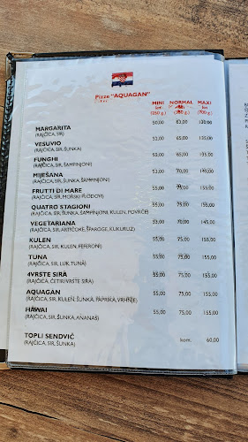 Comentarii opinii despre Aqua-gun