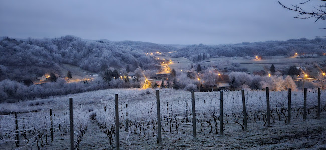 Kurija Žunec - Gastronomija i ugostiteljstvo