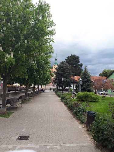 Trg Matice Hrvatske 1, 10430, Samobor