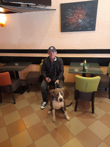 Ivanićgradska ul. 58, 10000, Zagreb