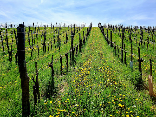 Comentarii opinii despre Biglietteria Linea Marittima Jadrolinija