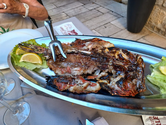 Restaurant Kamerlengo - Gastronomija i ugostiteljstvo