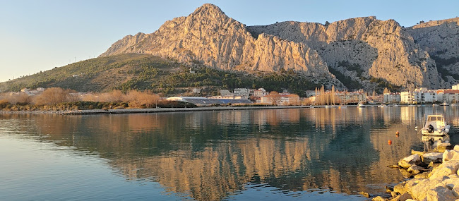 Cocktail bar "Dal Mare"